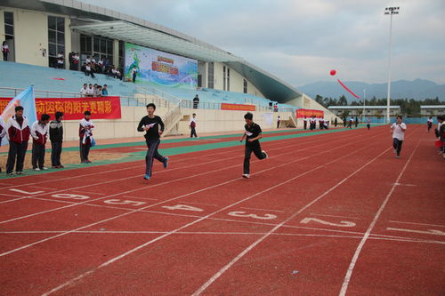 青春激揚(yáng)展風(fēng)采 校企聯(lián)動(dòng)譜新篇——惠州市技師學(xué)院第二屆運(yùn)動(dòng)會(huì)系列報(bào)道（一）
